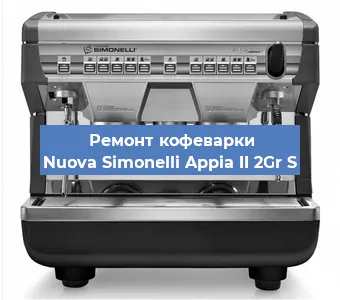 Чистка кофемашины Nuova Simonelli Appia II 2Gr S от накипи в Ростове-на-Дону